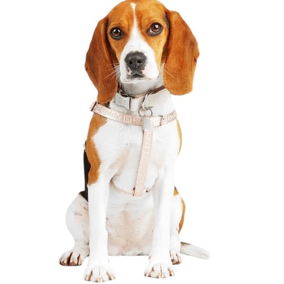 REDDY - SIZE MEDIUM - NEW WITH TAGS - JACQUARD DOG HARNESS - PINK - B19 - Picture 2 of 12